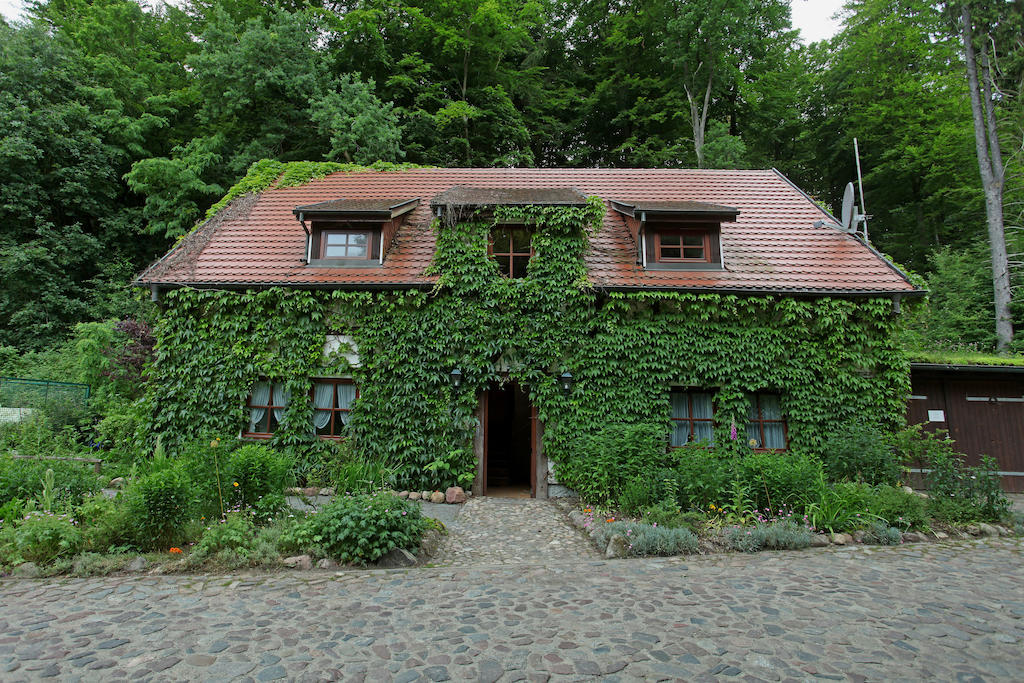 Hotel Boltenmuehle Guhlen Glienicke ห้อง รูปภาพ